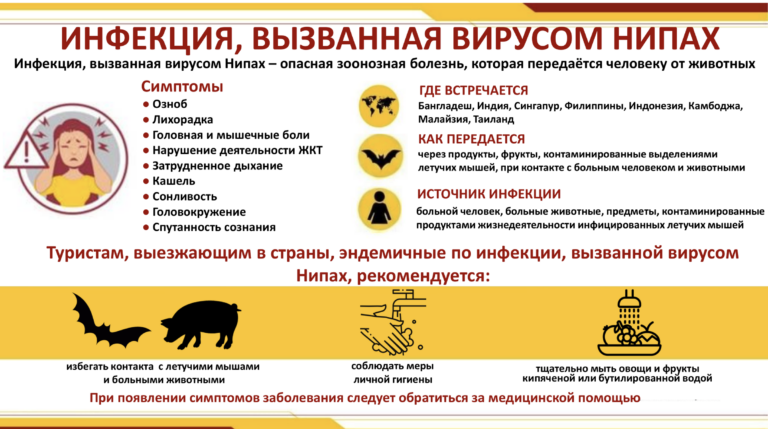 Вирус Нипах